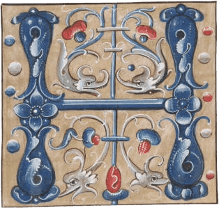 Heraldry for hvitis