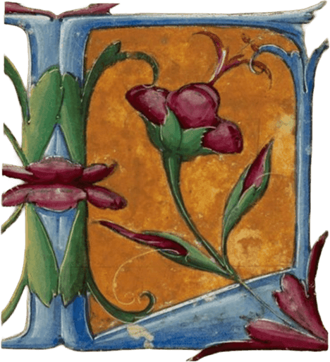 Heraldry for klara